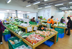 新鮮野菜